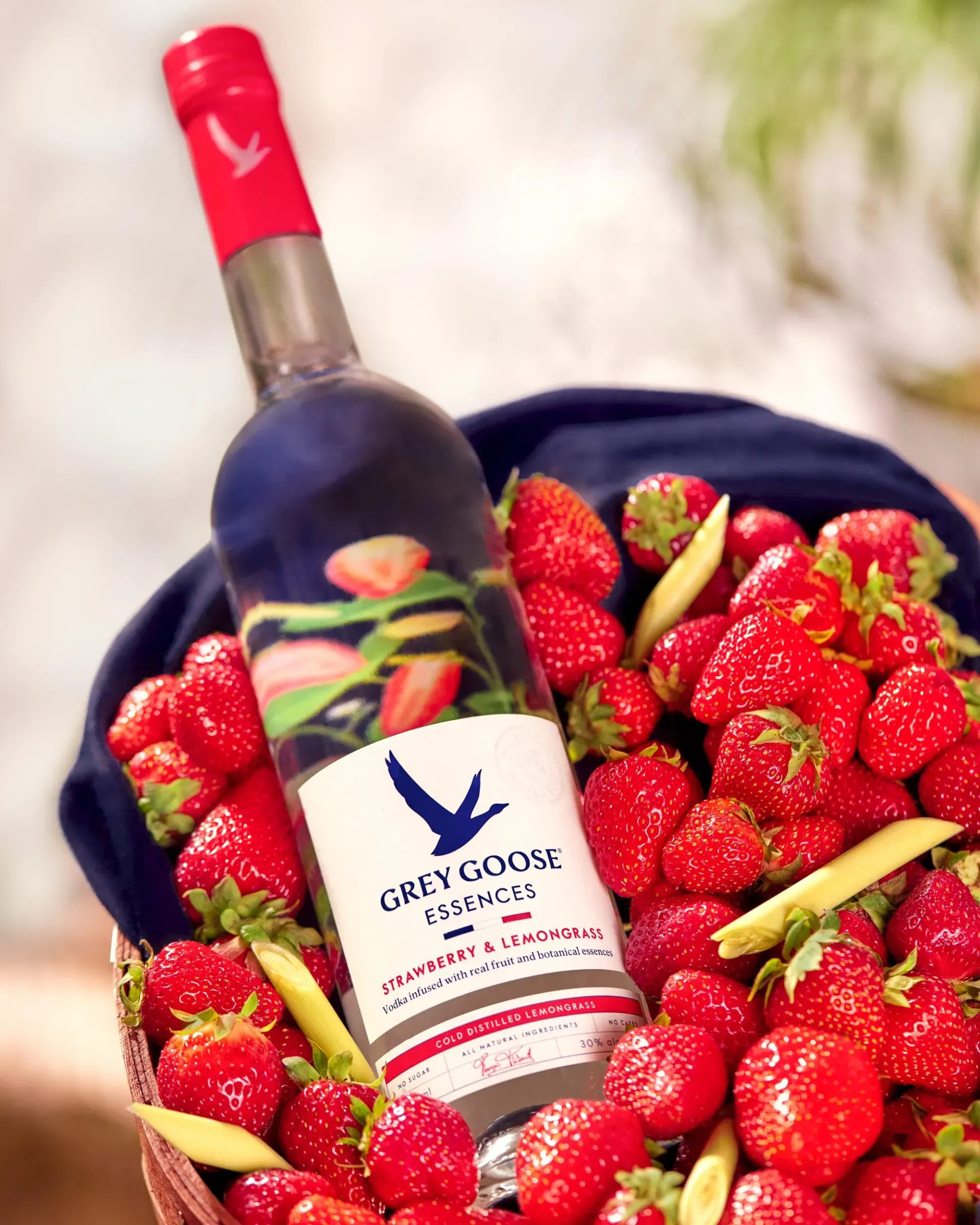 Moriah Sawtelle - GREY GOOSE