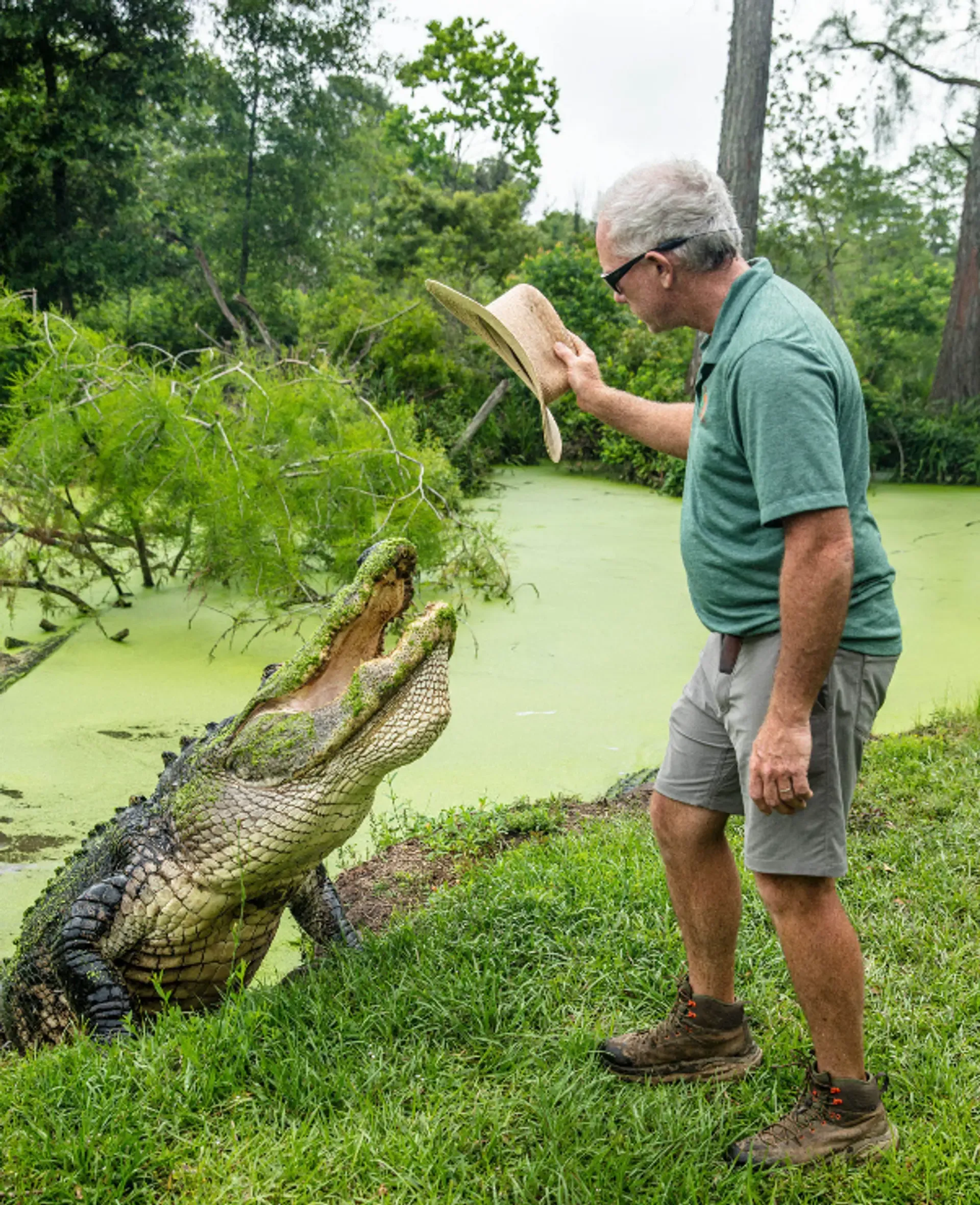 Matthew Coughlin - Alligator Alley