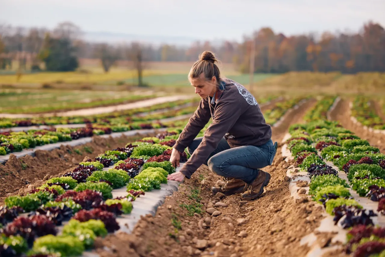 MOON VALLEY FARM