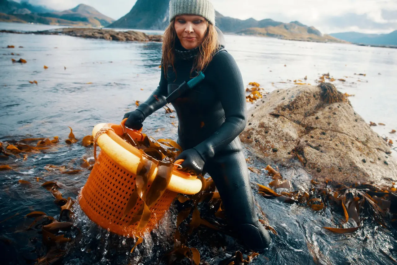 LOFOTEN SEAWEED