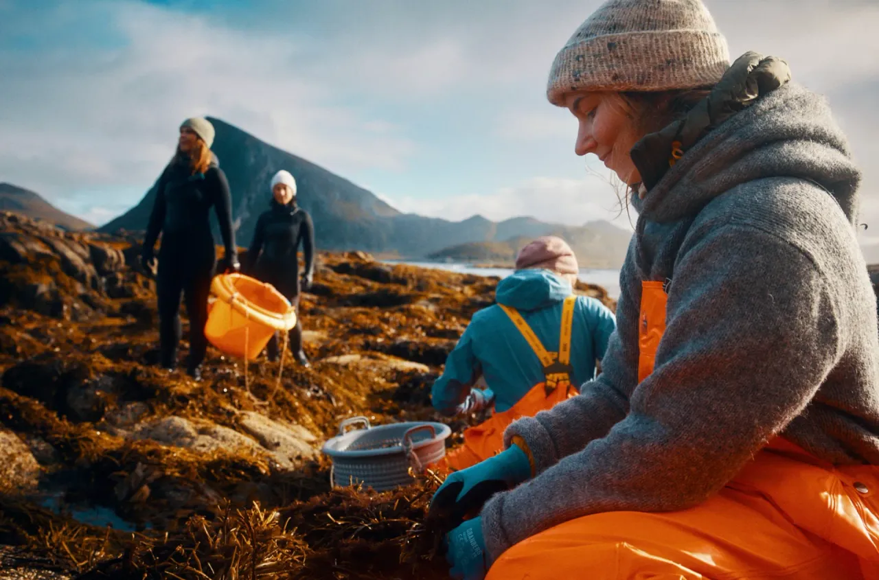 LOFOTEN SEAWEED