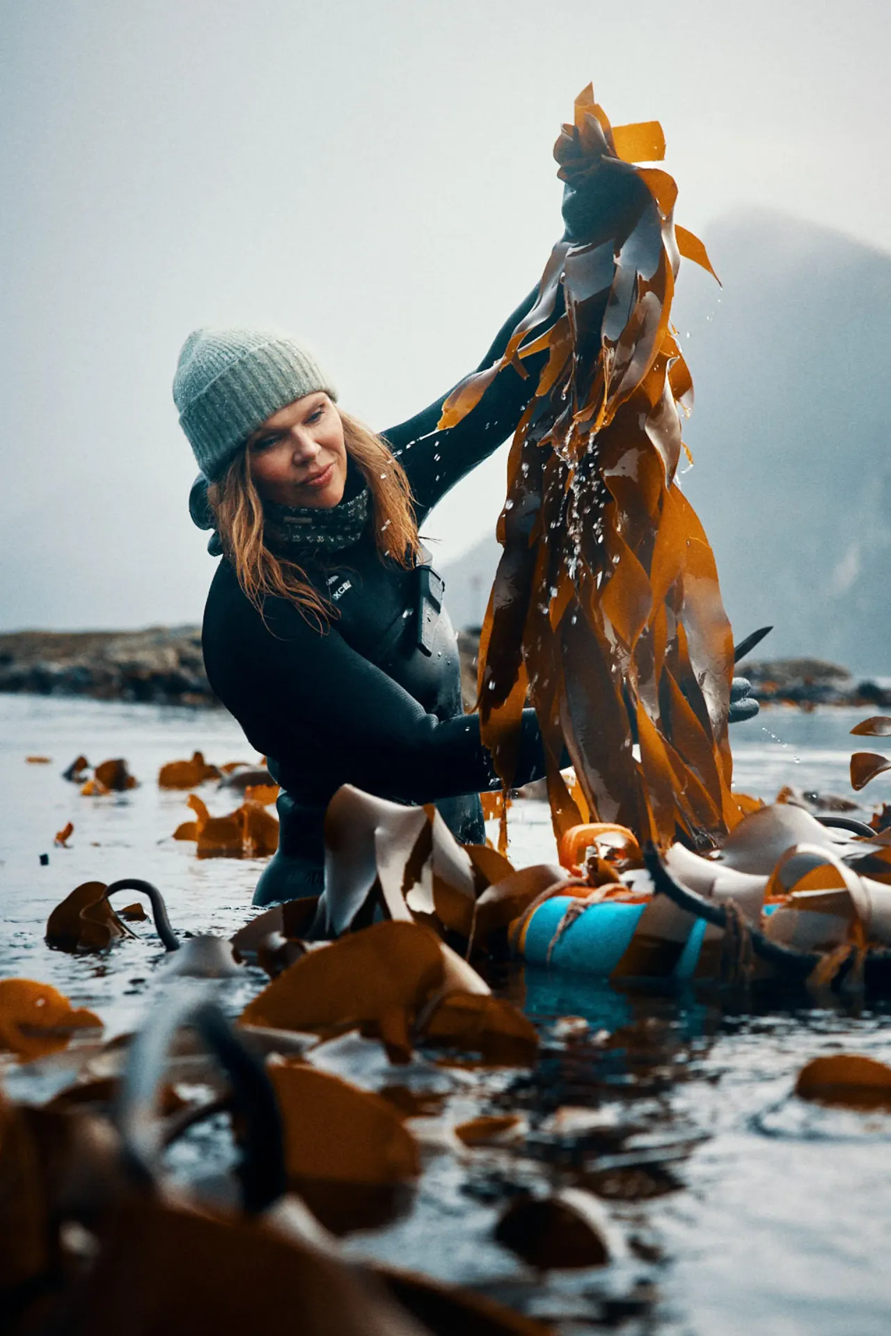 LOFOTEN SEAWEED