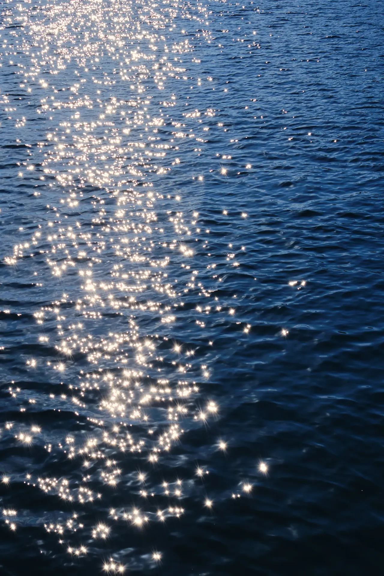 TO LIVE AS THE SEA DOES