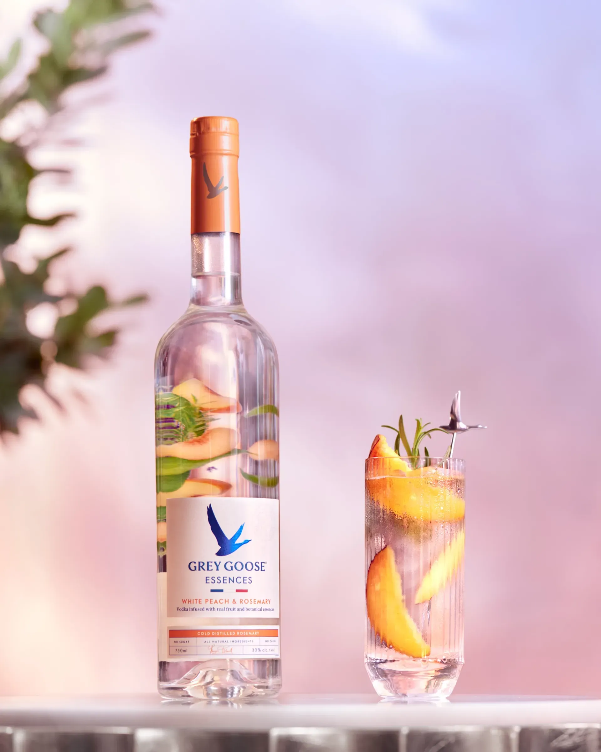 Moriah Sawtelle - GREY GOOSE