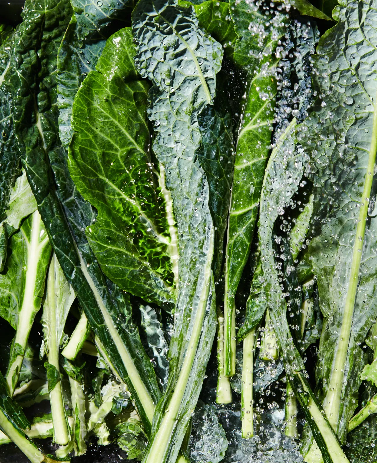 IT'S ALWAYS FREEZER SEASON