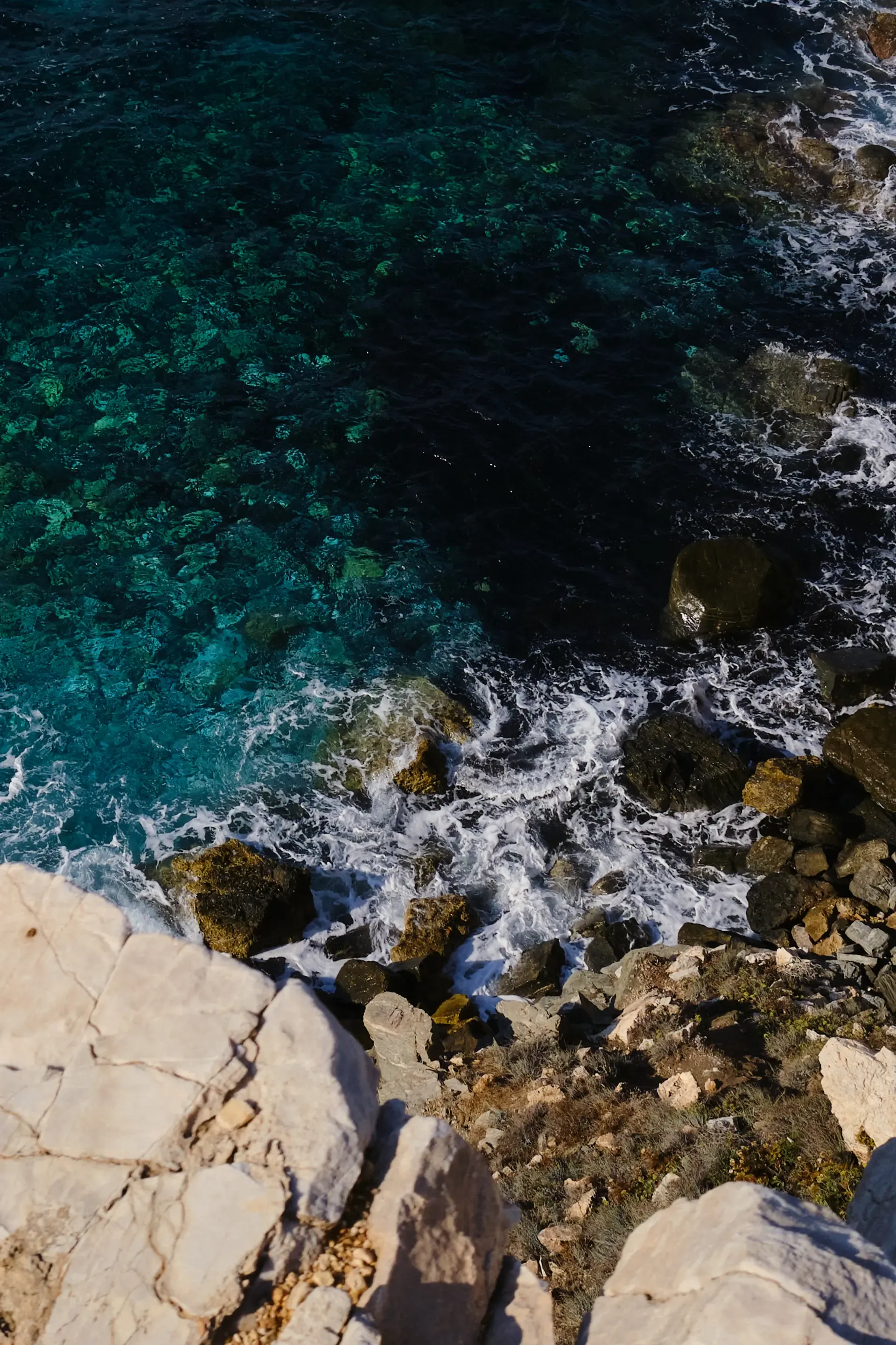 Janelle Bendycki - TO LIVE AS THE SEA DOES