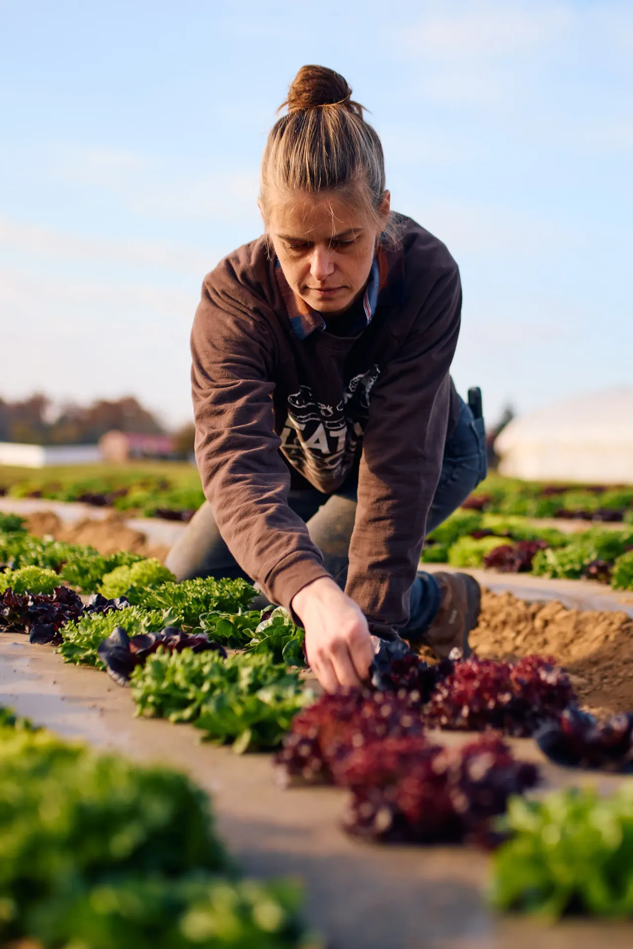 MOON VALLEY FARM