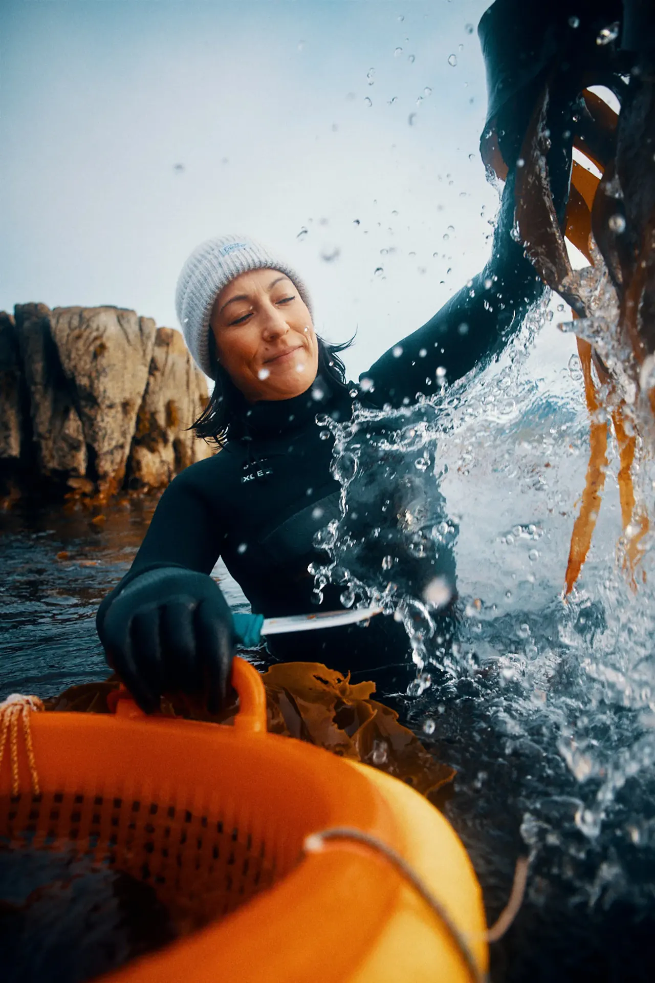 LOFOTEN SEAWEED