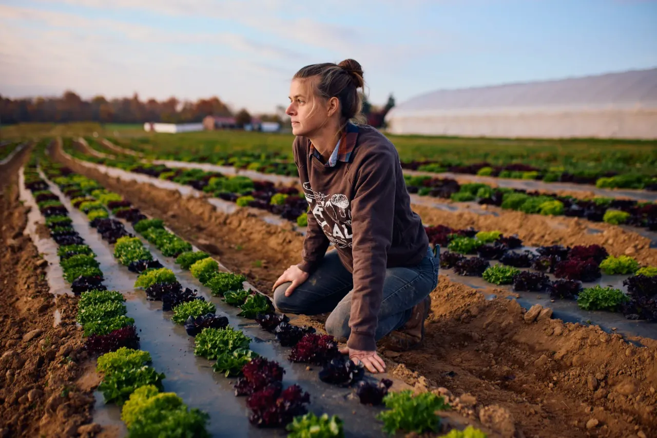 MOON VALLEY FARM