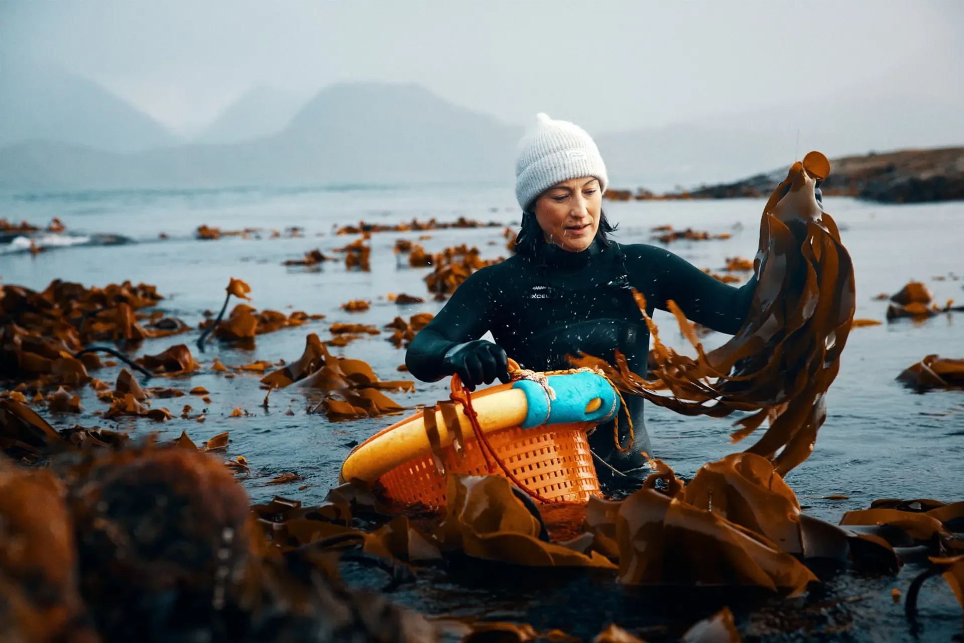 Ryan Smith - LOFOTEN SEAWEED